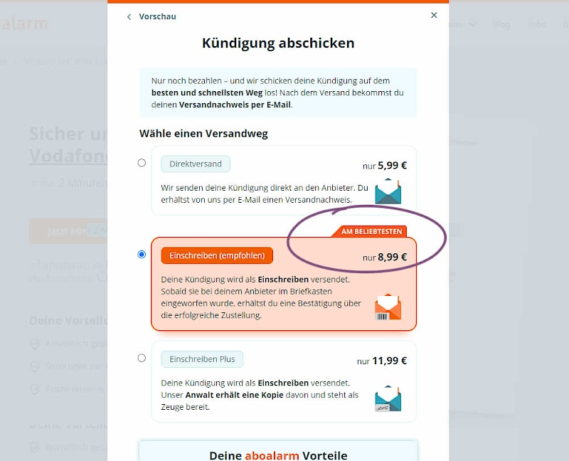 Tags, Badges And Structured Information - Variant B