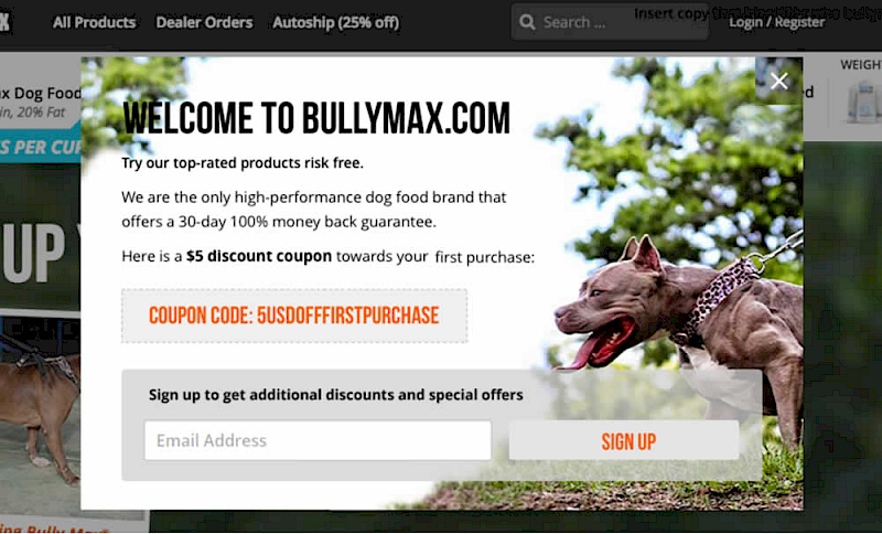 Welcome Discount - Variant B