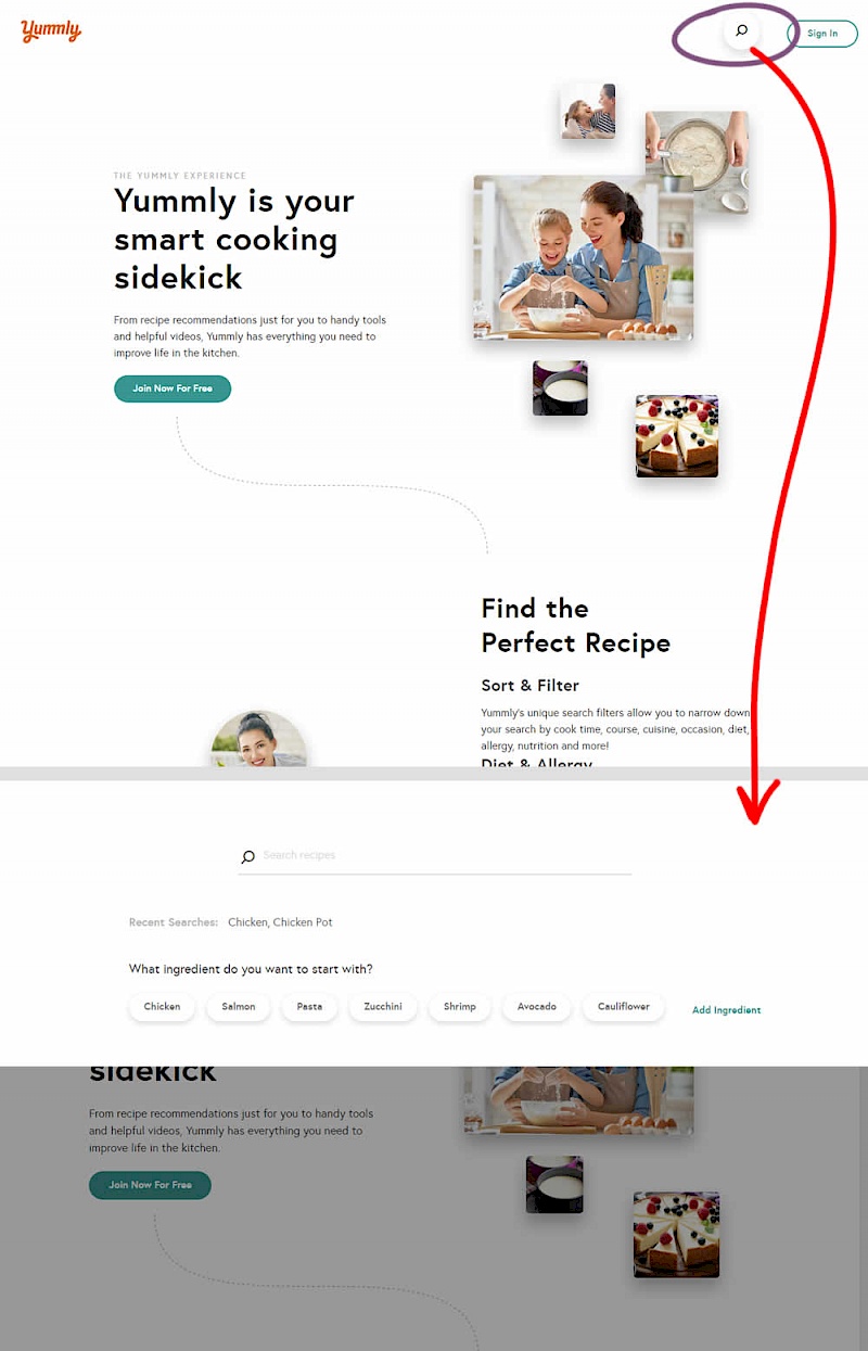 Visible Search - Variant B